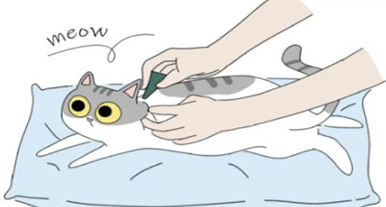 Fluralaner For sale | Shaanxi BLOOM Tech Co., Ltd Fluralaner For sale | Shaanxi BLOOM Tech Co., Ltd